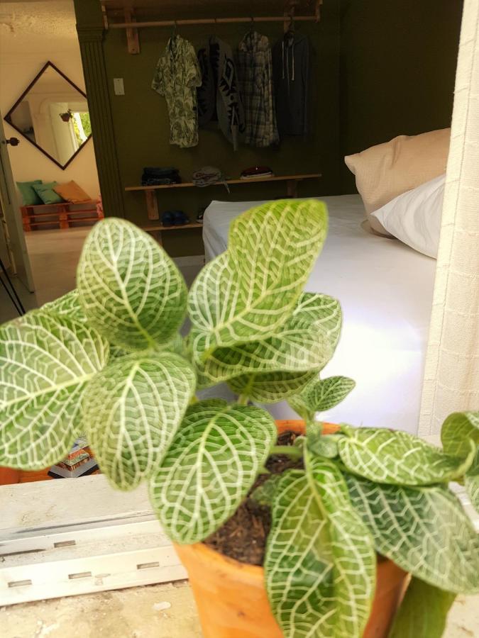Tatami Hostel ブカラマンガ エクステリア 写真