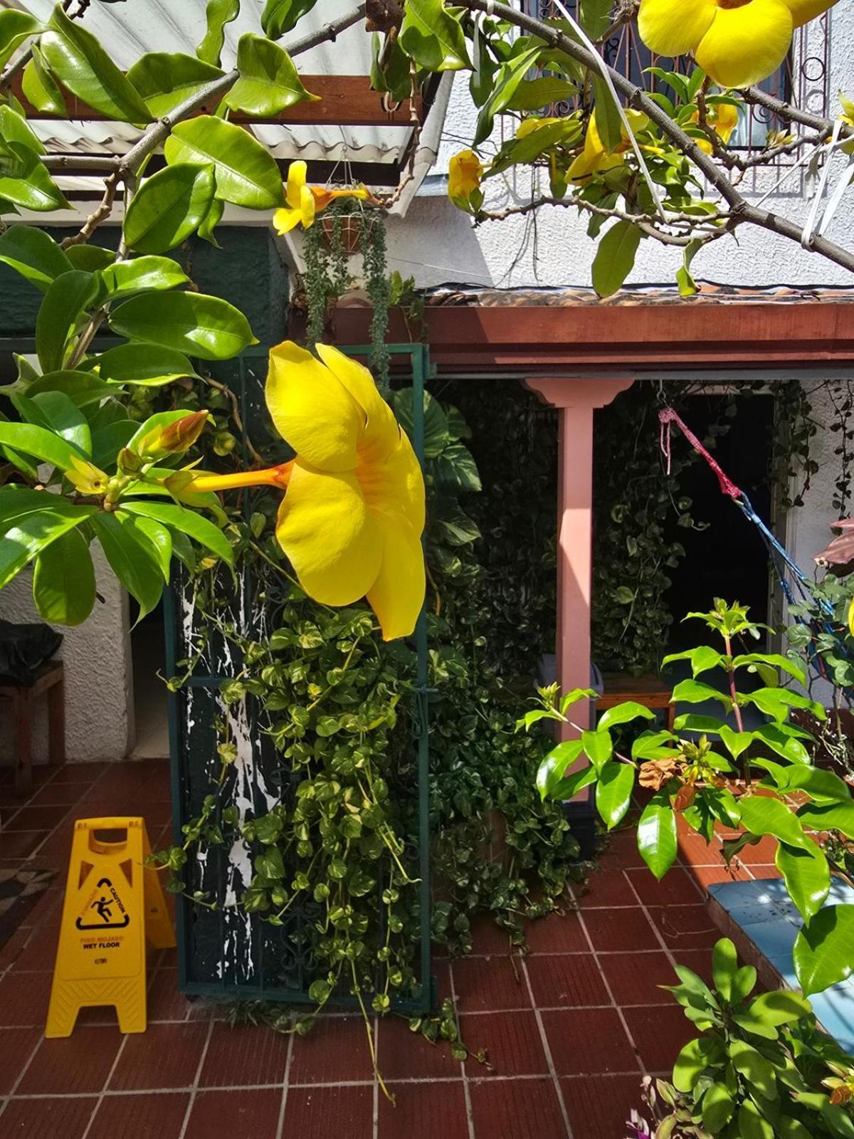 Tatami Hostel ブカラマンガ エクステリア 写真